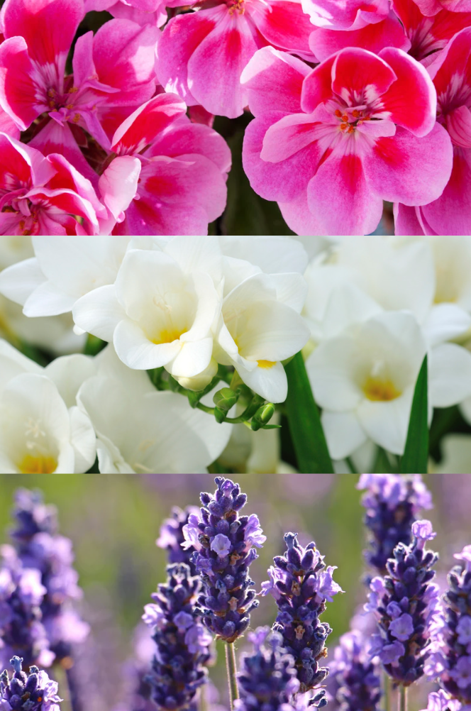 Sweet Dreams Linen Spray