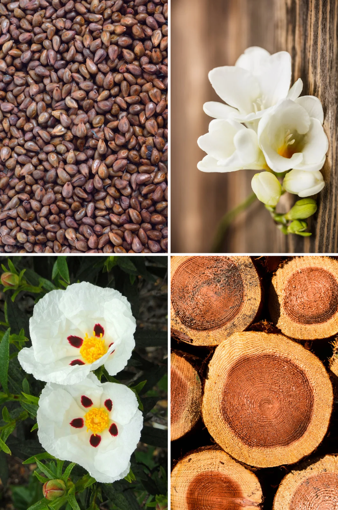 Janat Alhadiqa Reed Diffuser