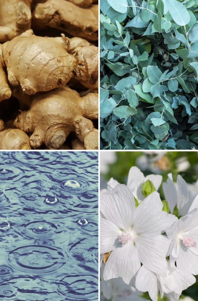 Jumeirah Reed Diffuser