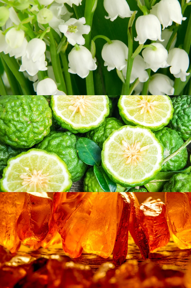 Dolce Flora Reed Diffuser