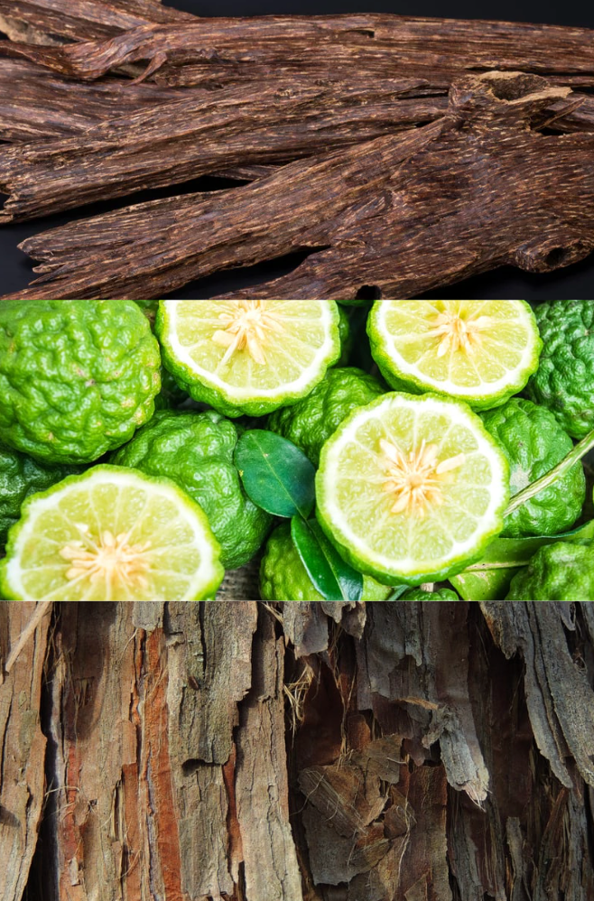 Dolce Citrus Reed Diffuser